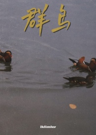 群鸟飞过湖面动态描写20字